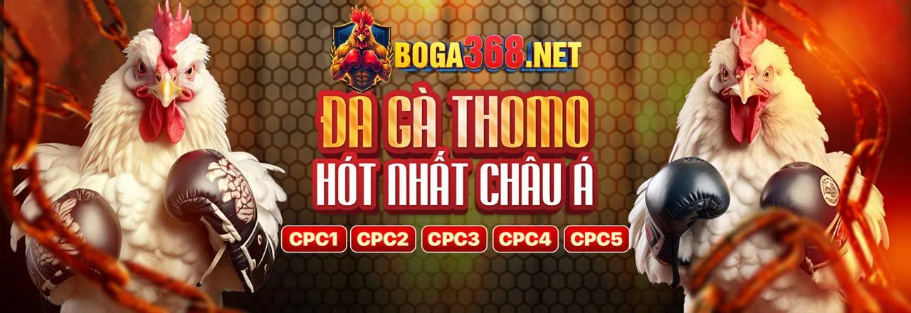 Các phương thức thanh toán an toàn và tiện lợi tại e688